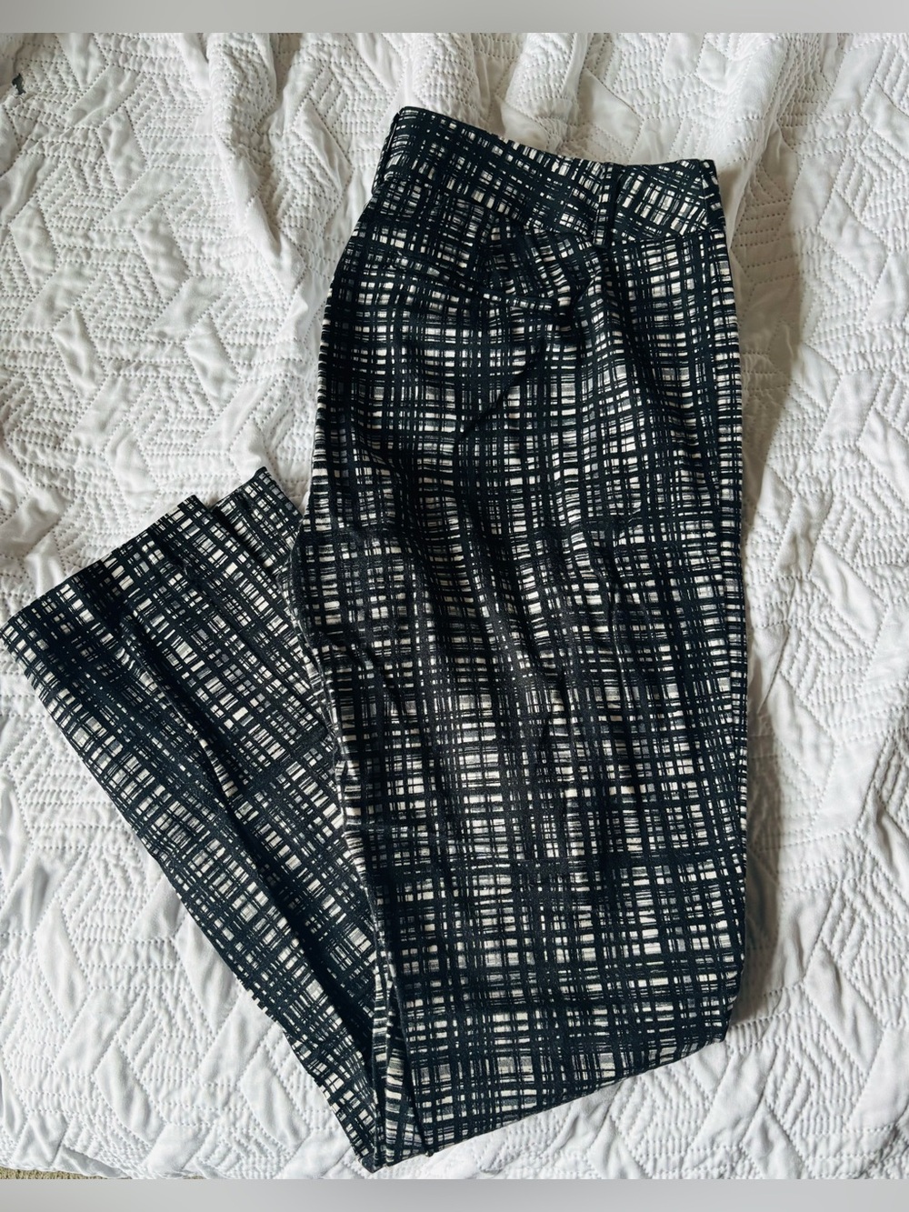 Dress pants (capris)